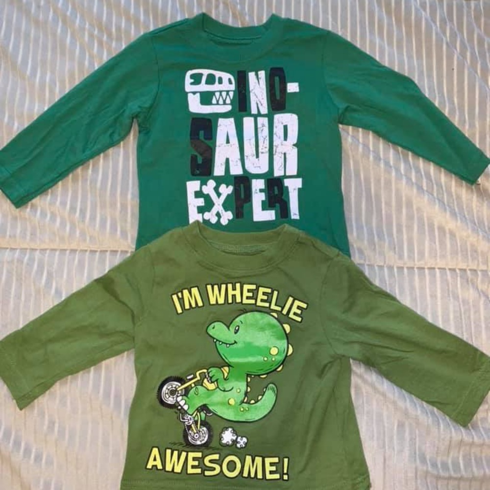 Dinosaur Shirts